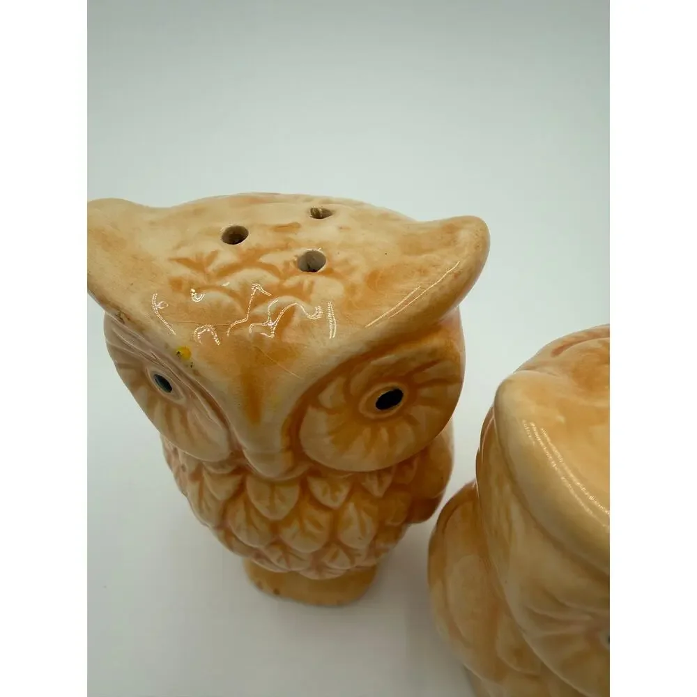 1970's Ceramic Owl Salt & Pepper Shakers Set